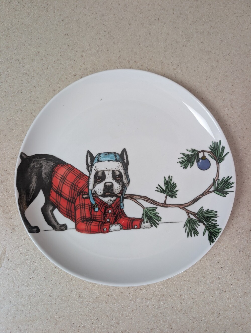West elm + Rachel Kozlowski Pet Plate with Red Plaid Dog Design